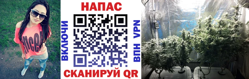 кракен   Сургут  Бошки марихуана SATIVA & INDICA 
